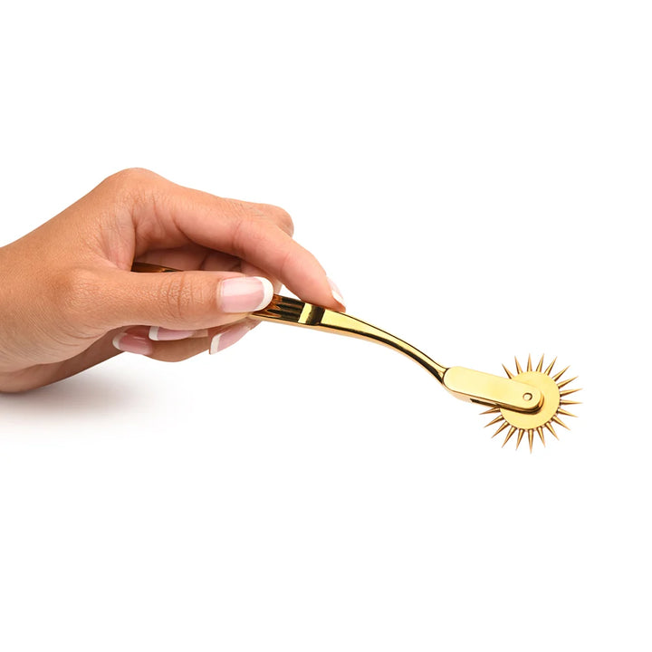 Wartenberg sensation wheel, a spiked metal wheel on a slim handle, shown with its box