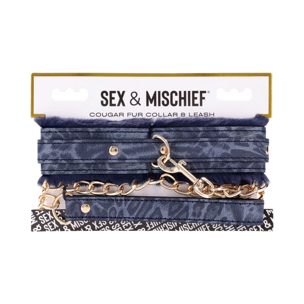 Royal blue faux fur lined collar with a gold chain leash and gold hardware