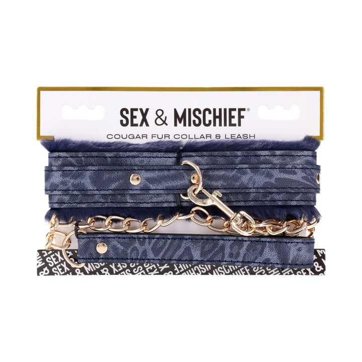 Royal blue faux fur lined collar with a gold chain leash and gold hardware