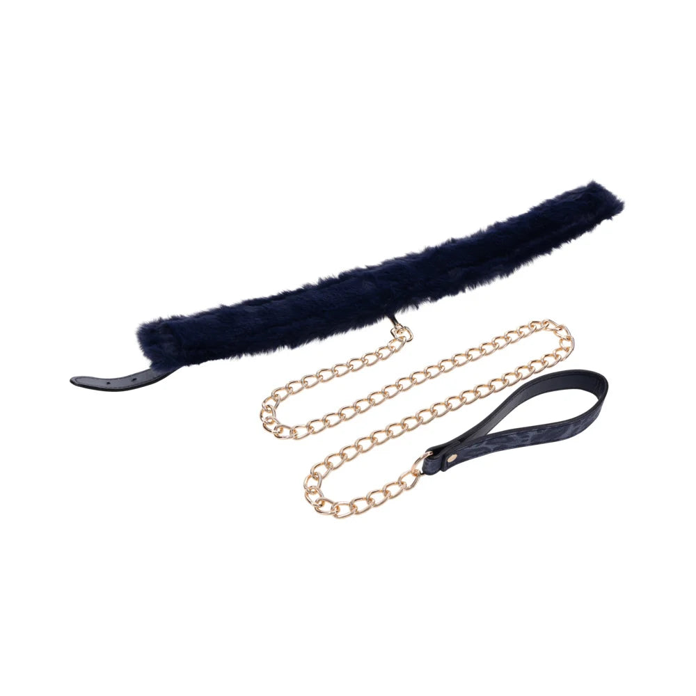Royal blue faux fur lined collar with a gold chain leash and gold hardware