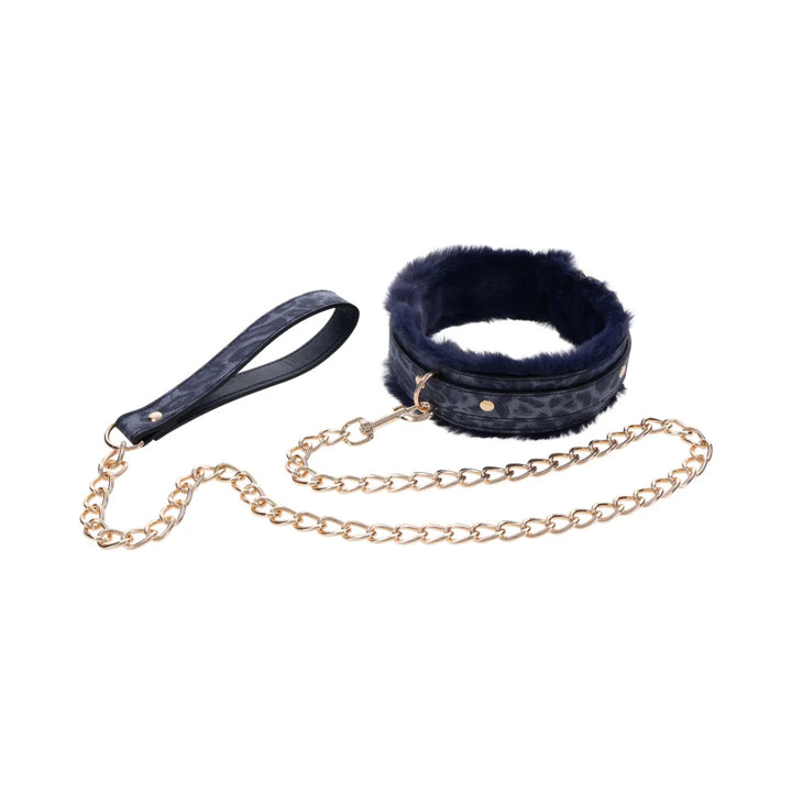 Royal blue faux fur lined collar with a gold chain leash and gold hardware