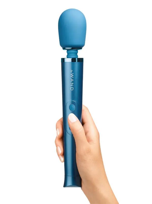 Le Wand Petite Rechargeable Massager | MOTHERLODE